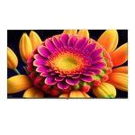 تلویزیون کیو ال ای دی هوشمند ایکس ویژن مدل 65X25 سایز 65 اینچ - Image 2